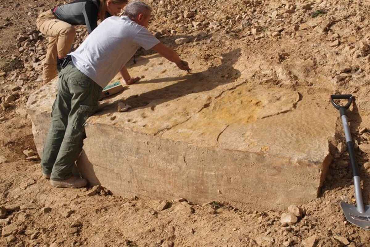 В Польше нашли следы животных возрастом 400 млн лет