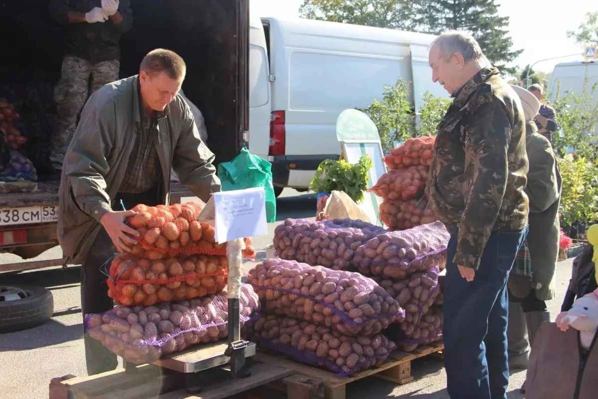 Фото иллюстрационное