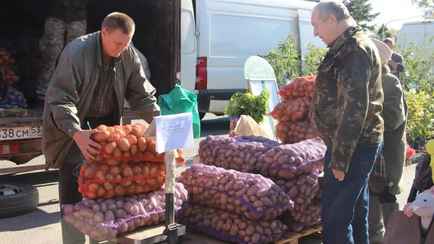 Организаторы осенних ярмарок пообещали помощь с доставкой 3 категориям белорусов. Когда заработают?