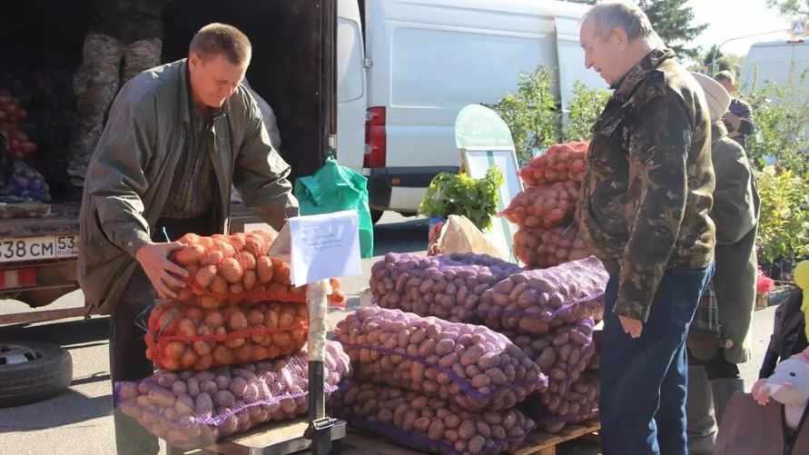 Фото иллюстрационное