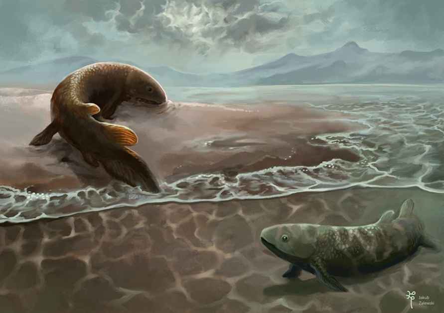 Визуализация девонских рыб / Польский геологический институт, рисунок Я. Залевского