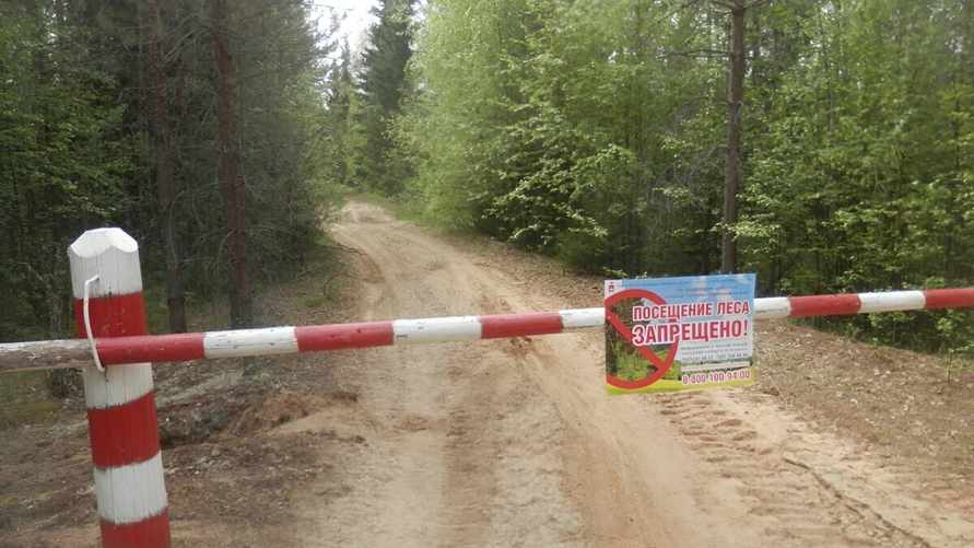 Фото иллюстрационное