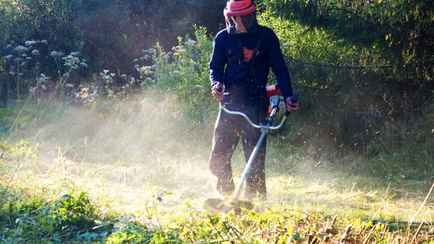 До 985 рублей за покос. Слонимское ЖКХ предложило сезонную подработку. Но есть нюанс