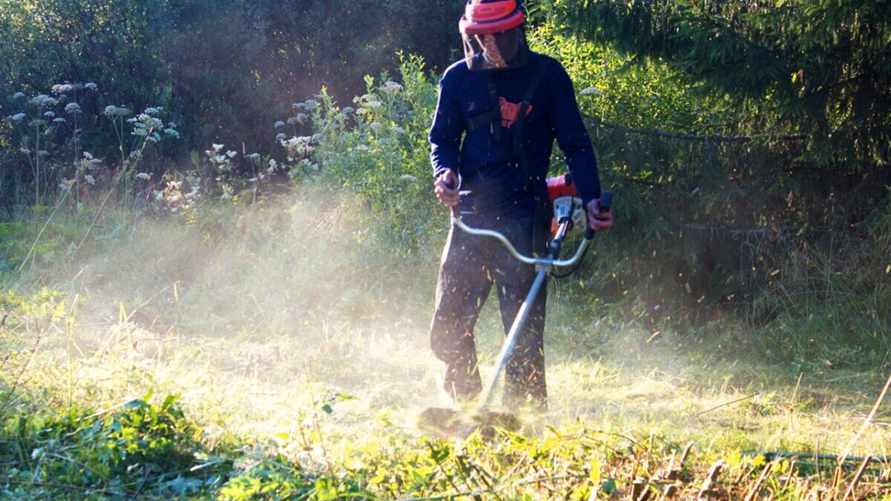 Фото иллюстрационное