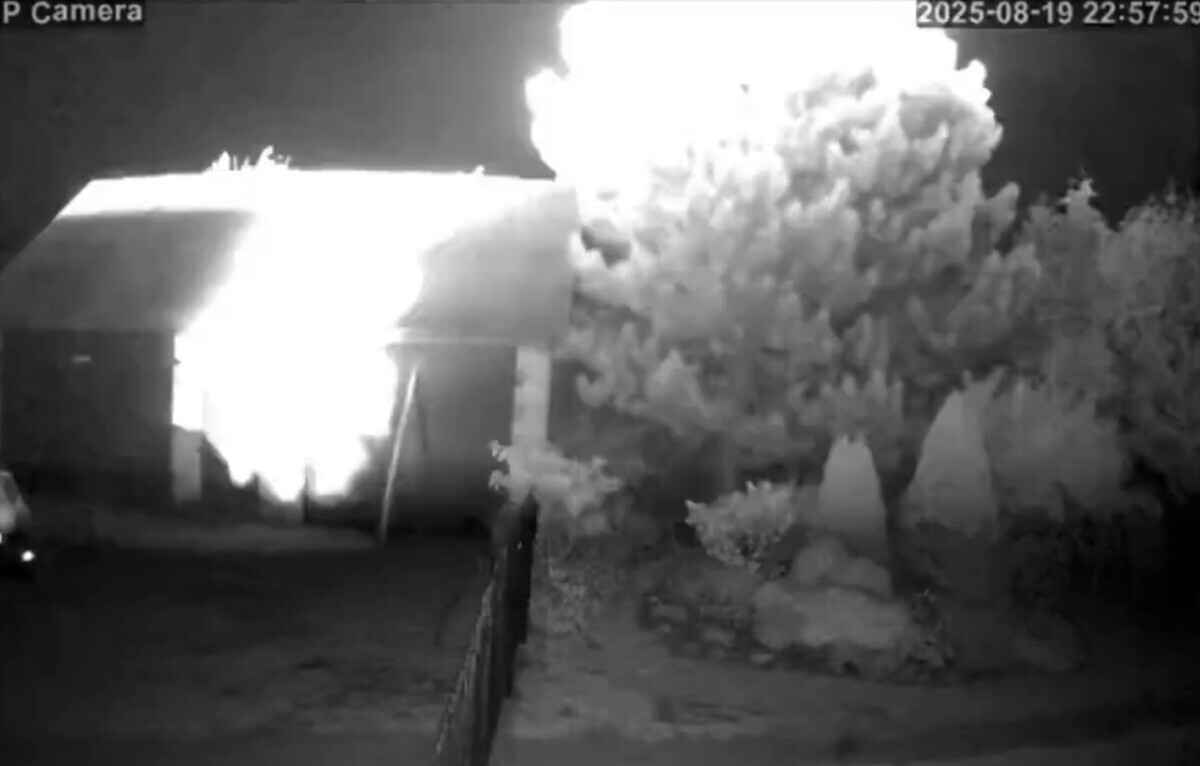 Скриншот видео из соцсети Х