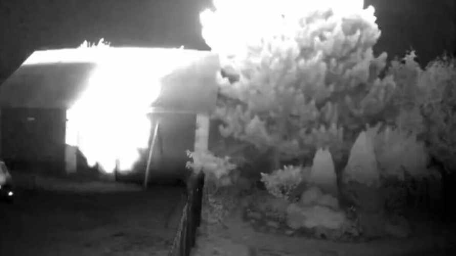 Скриншот видео из соцсети Х