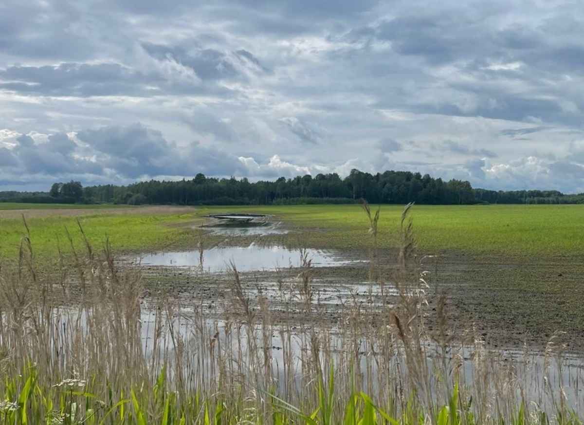Фото: Министерство сельского хозяйства Латвии