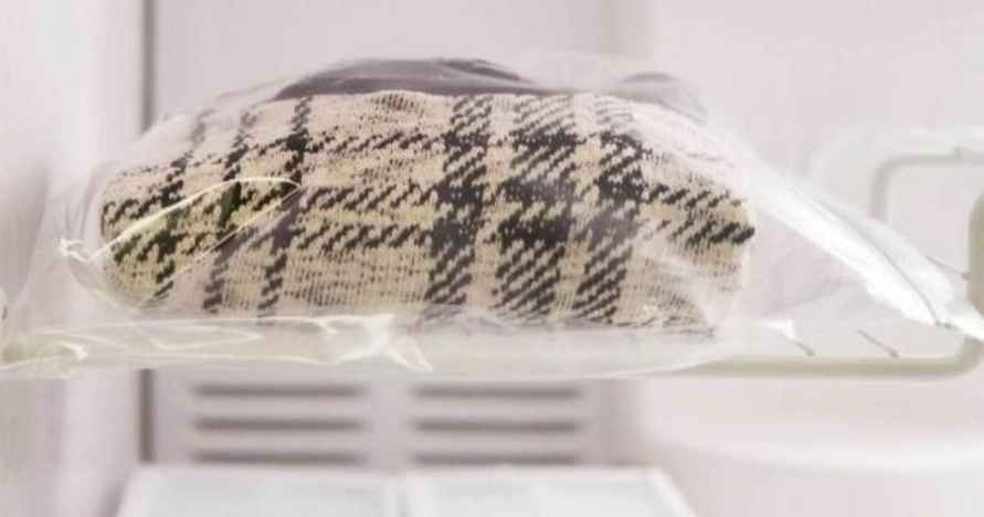 Энтомологи назвали лучший способ защитить одежду и дом от моли