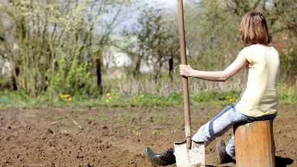 Не пропустите эти 6 работ на участке в сентябре. Иначе весной будете жалеть