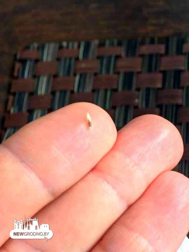 Белорусы пожаловались на пиво с личинками в одном из баров Гродно