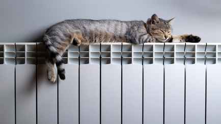 На это нужно потратить 5 минут всем белорусам ещё в сентябре, чтобы сэкономить на отоплении зимой