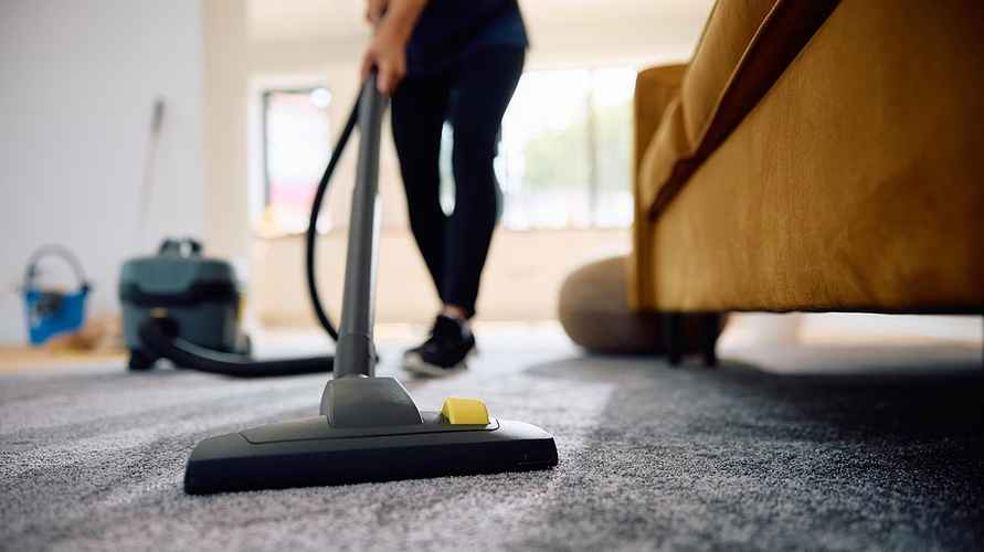 Энтомологи назвали лучший способ защитить одежду и дом от моли