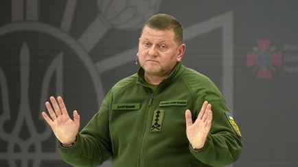 Подорвать «Северные потоки» мог приказать Залужный — Die Welt