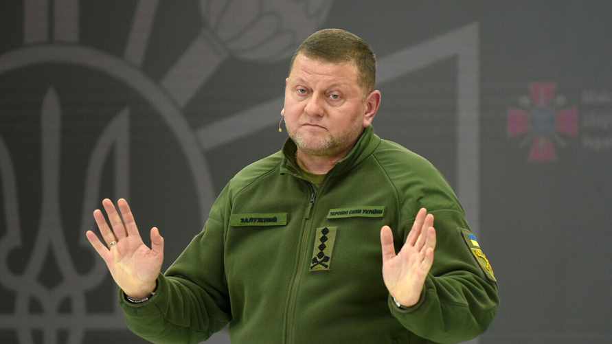 Подорвать "Северные потоки" мог приказать Залужный — Die Welt