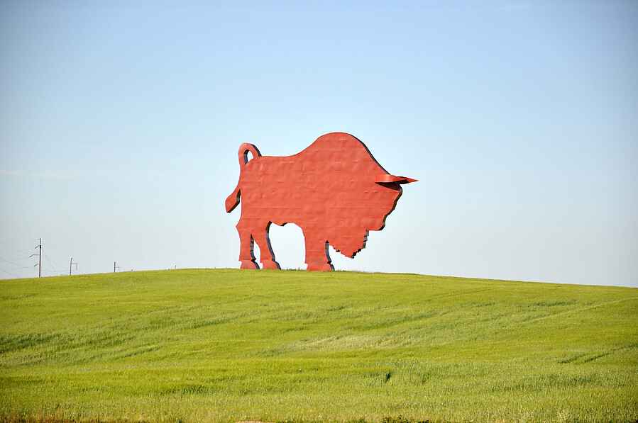 В этом регионе Беларуси зафиксировали две смерти от укусов насекомых