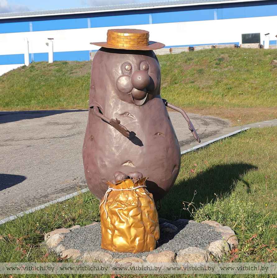 В Беларуси символом туризма выбрали цветок картошки