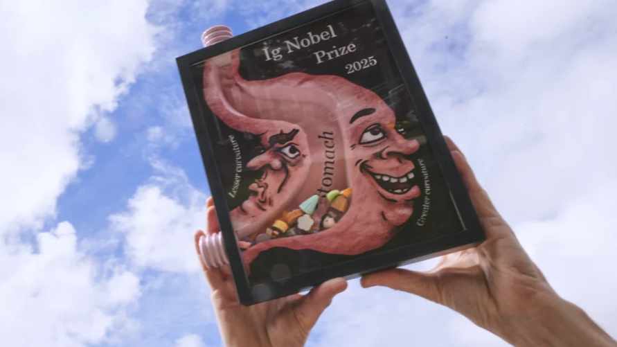 Корова-зебра, 35-летний ноготь и съедобный тефлон. В США вручили Шнобелевскую премию - 2025