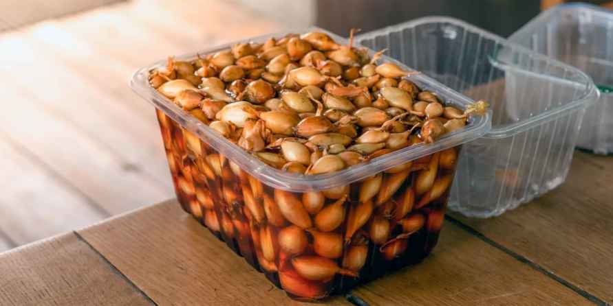 Обработайте лук одним из трёх подручных средств перед посадкой на зиму. Обильный урожай соберёте на месяц раньше