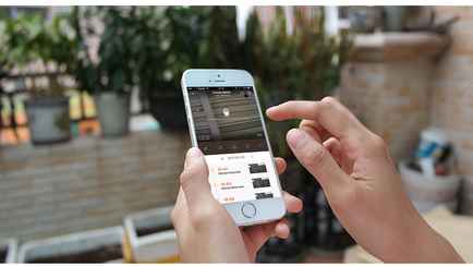 Совмин утвердил порядок блокировки сайтов и услуг связи