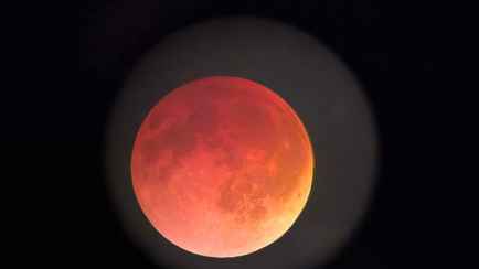 Появились снимки «Кровавой Луны» над Беларусью