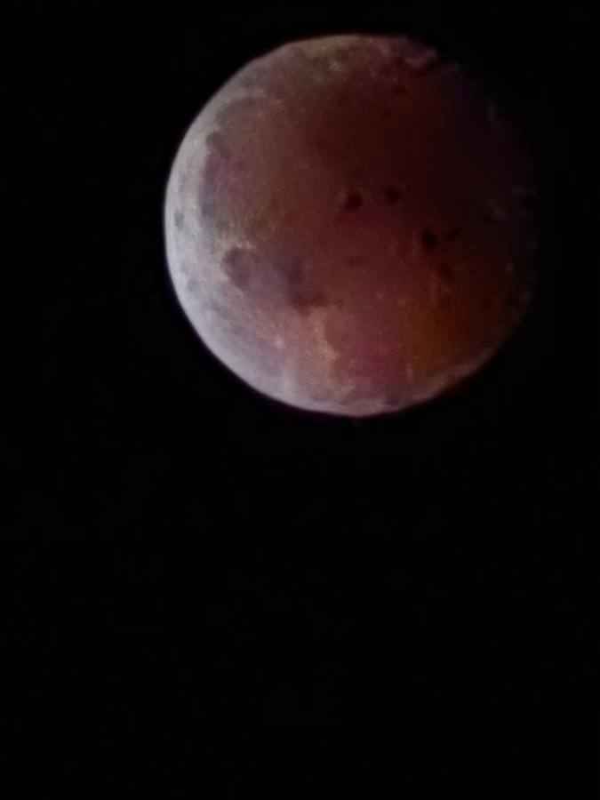 Появились снимки Кровавой Луны над Беларусью