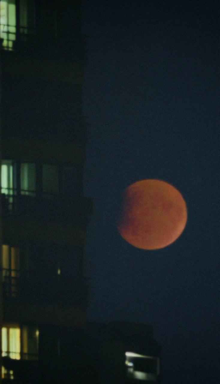 Появились снимки Кровавой Луны над Беларусью