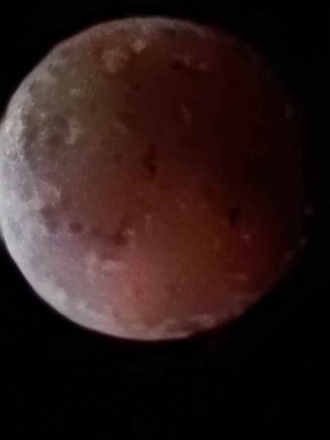 Появились снимки Кровавой Луны над Беларусью