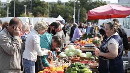 Чем фермеры пообещали «похвастаться» на ярмарках в Минске? В Мингорисполкоме объявили список