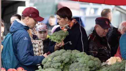 В Белкоопсоюзе назвали даты завершения ярмарок в Минске — «При благоприятной погоде»