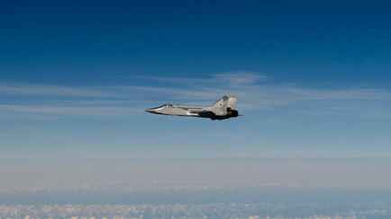 НАТО обвинило в нарушении своих границ российские истребители