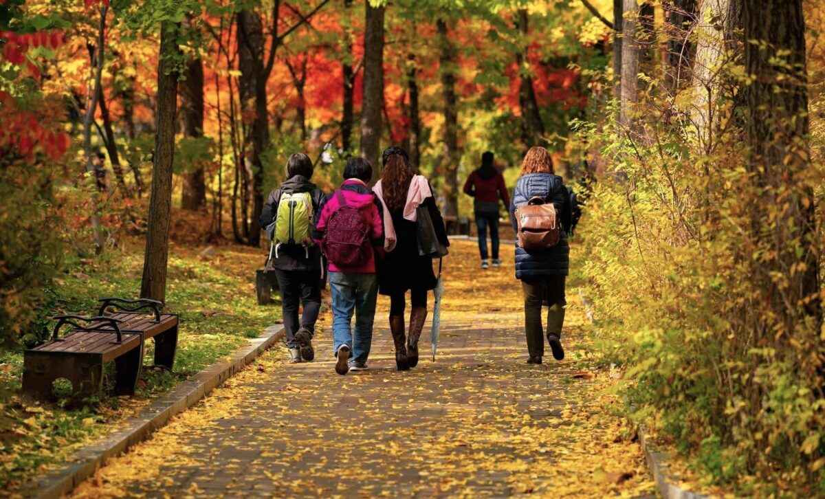 Синоптики пообещали до +19°C. Будет ли в Беларуси "классическая золотая осень"?