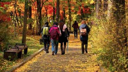 Синоптики пообещали до +19°C. Будет ли в Беларуси «классическая золотая осень»?