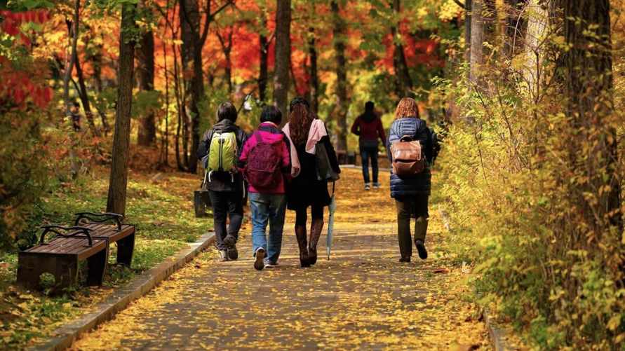 Синоптики пообещали до +19°C. Будет ли в Беларуси "классическая золотая осень"?