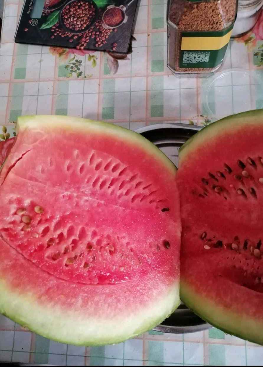 Белоруска показала «обидный» урожай арбузов. В комментариях тут же похвастались своим