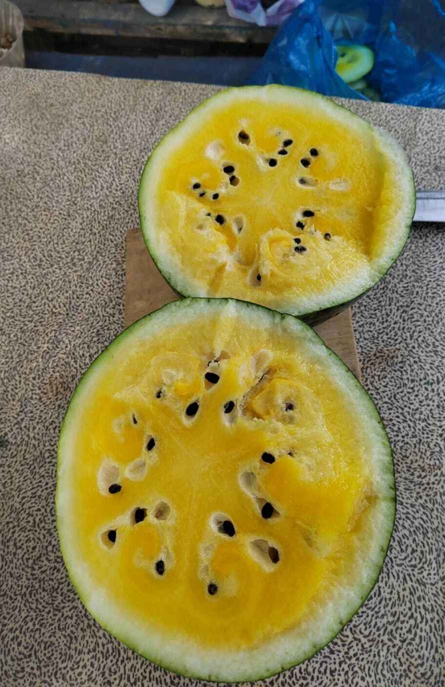 Белоруска показала «обидный» урожай арбузов. В комментариях тут же похвастались своим