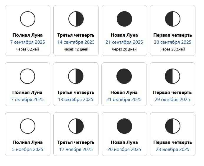 Когда белорусам квасить капусту в 2025-м? Список благоприятных дней на осень