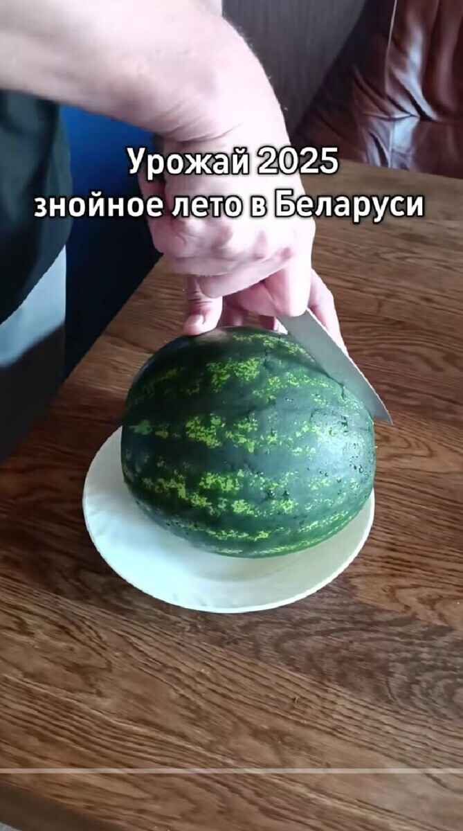 Вышел первый тизер нового мультфильма про Шрека. Когда релиз?