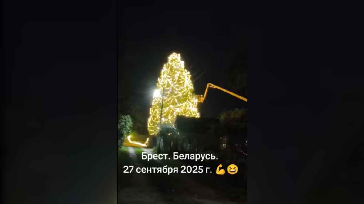 В Бресте заметили первую новогоднюю ёлку – «Дайте хоть арбузы доесть»