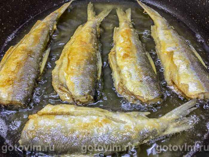 Эту нежную до неприличия рыбу мечтают словить многие рыбаки. Где найти в Беларуси и как приготовить?