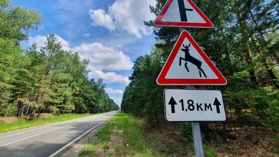 Фото иллюстрационное