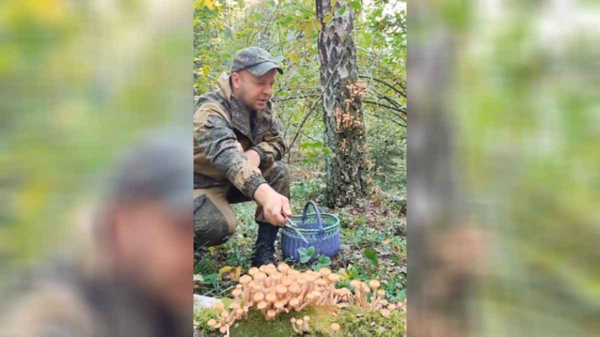 Белорусский грибник показал, где собрал целую корзину осенних опят