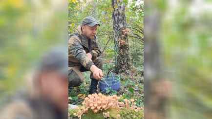 Белорусский грибник показал, где собрал целую корзину осенних опят