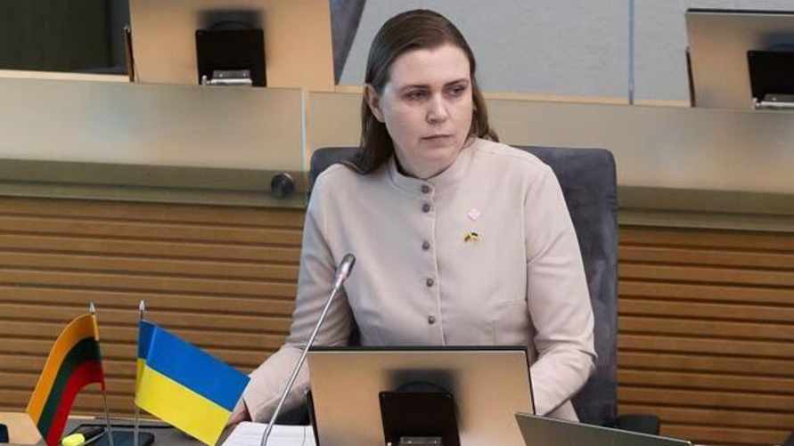 Литва разрешила другим странам НАТО сбивать в своем небе иностранные самолёты