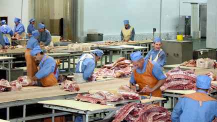Совмин Беларуси выделил 5 млн рублей на инновационный мясожировой цех