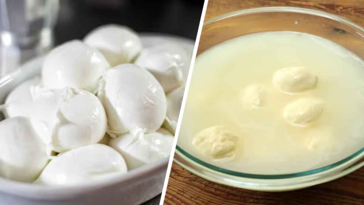 Не выливайте воду из-под моцареллы. Вот 4 способа использовать ее в кулинарии