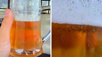 Белорусы пожаловались на пиво с личинками в одном из баров Гродно