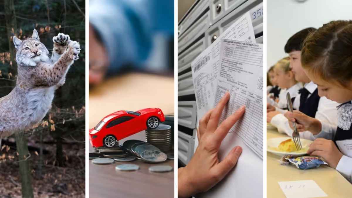 Изменения в ЖКУ и автостраховании. Что ещё ждёт белорусов в октябре?