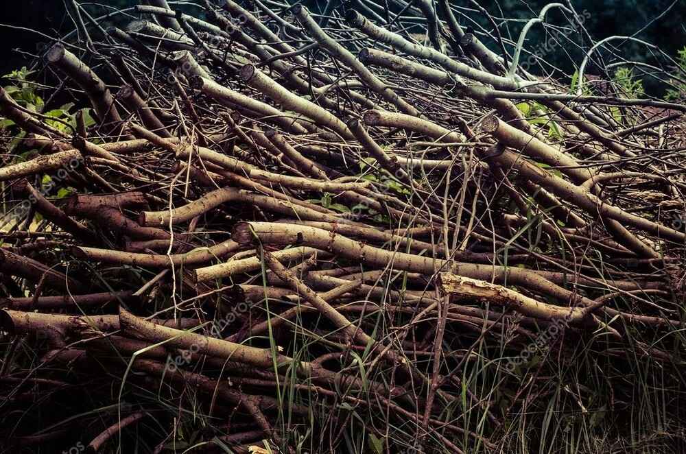 В ЖКХ предложили минчанам ставить под углом ветки и класть доски в случае одной опасности