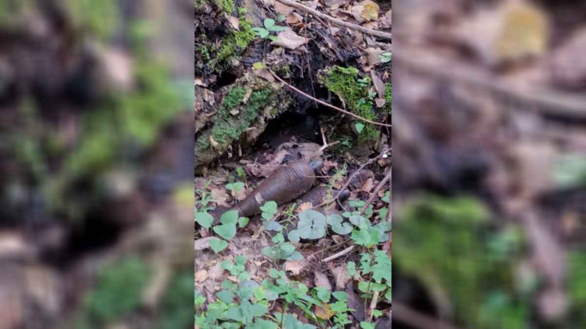 Грибник показала опасную находку в лесу под Витебском и вызвала волну возмущения зрителей – «В смысле побегу?»