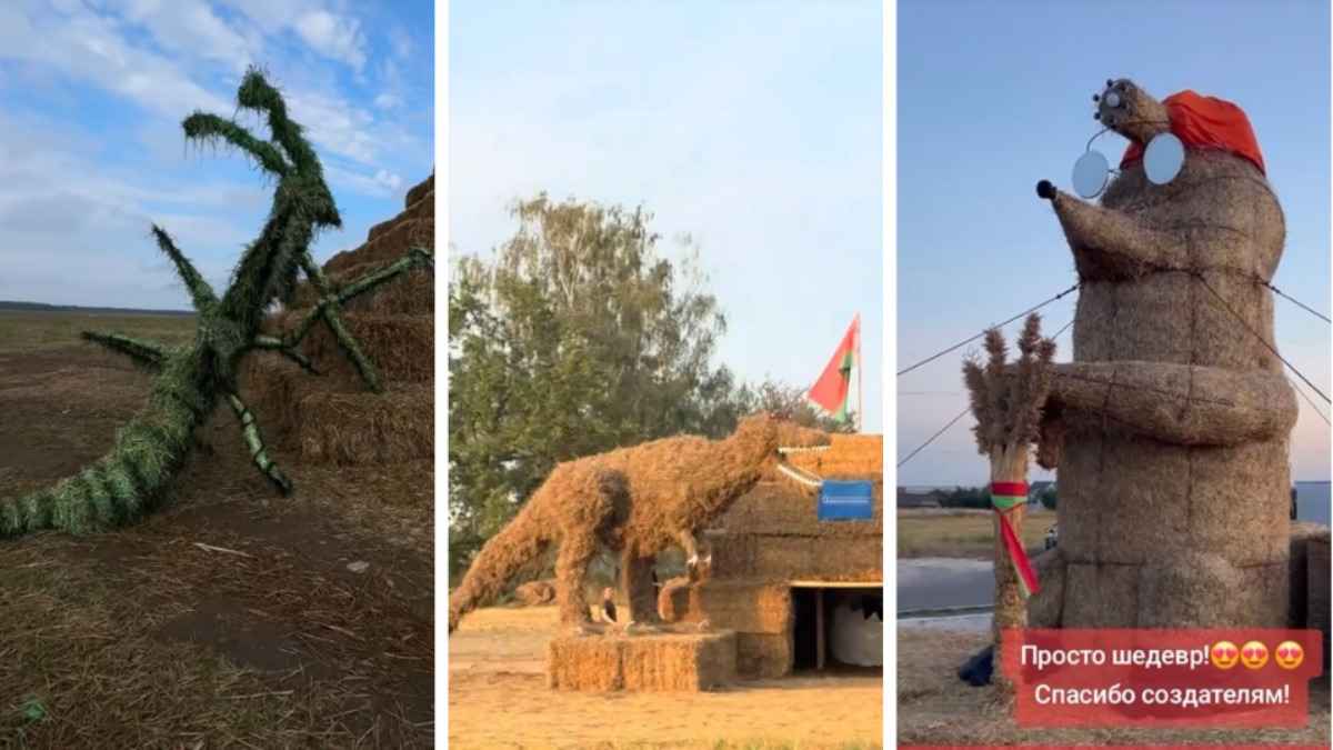 Крот-шахтёр, богомол-переросток и крейсер «Аврора». На полях Беларуси устроили конкурс фигур из соломы